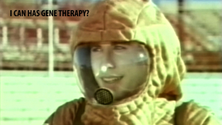 Bubble Boys Treated With Gene Therapy Still Healthy After Nine Years